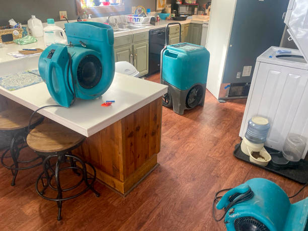 Best Water damage cleanup near me  in River Road, NC