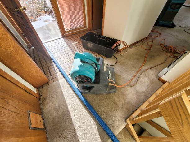 Best Water damage cleanup near me  in River Road, NC