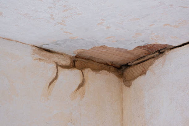Best Water damage restoration near me  in River Road, NC