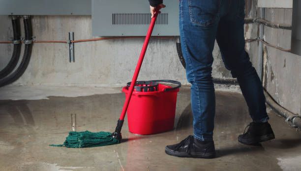 Best Water damage restoration near me  in River Road, NC