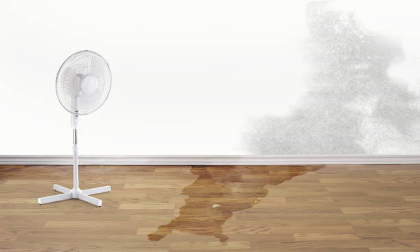 Water damage restoration experts in NC