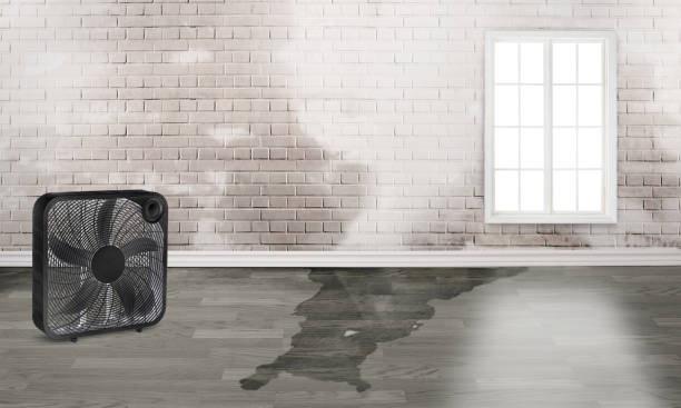  River Road, NC Water damage restoration Pros