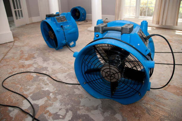 Best Water damage restoration experts  in River Road, NC