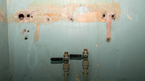 Best 24/7 water damage repair  in River Road, NC
