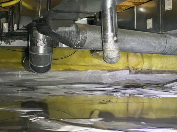 Best Carpet water damage restoration  in River Road, NC