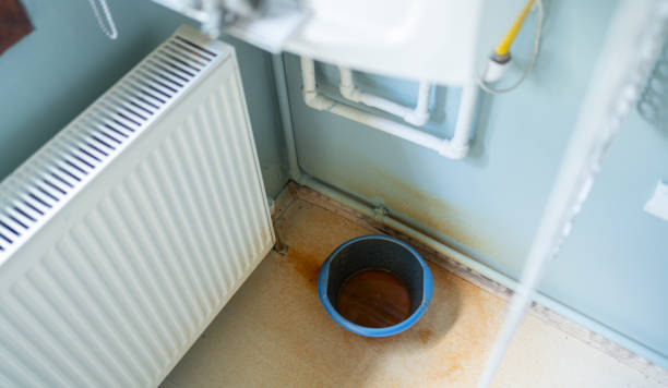 Best Flood restoration services  in River Road, NC