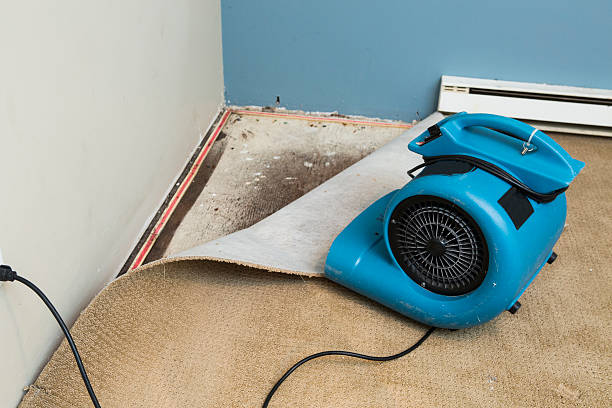 Best Flood damage cleanup  in River Road, NC