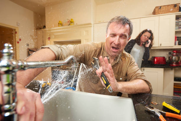 Best Water damage contractors near me  in River Road, NC